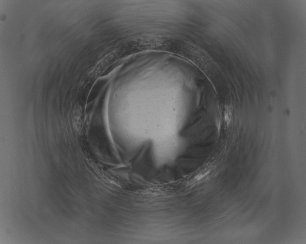 X0000073740867200608171303