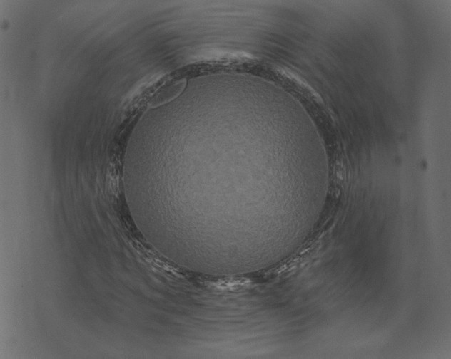 X0000073740869200608171303
