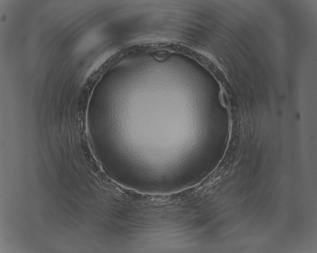 X0000073740871200608171303
