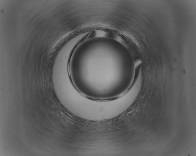 X0000073740872200608171303