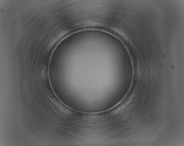 X0000073740873200608171303