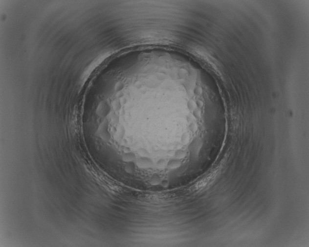 X0000073740875200608171303