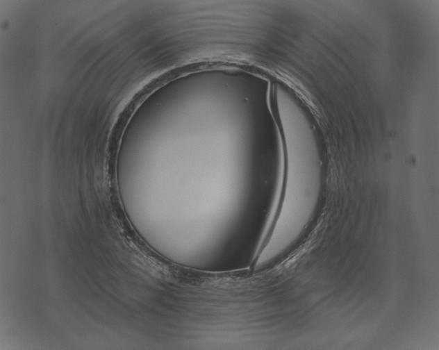 X0000073740880200608171303