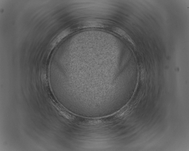 X0000073740882200608171303