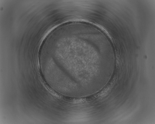 X0000073740887200608171303