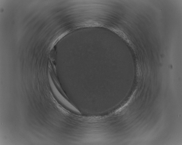X0000073740889200608171303