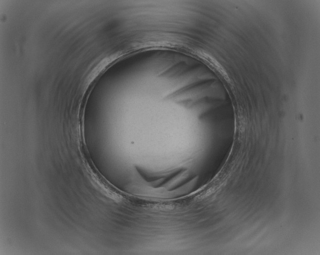 X0000073740890200608171303