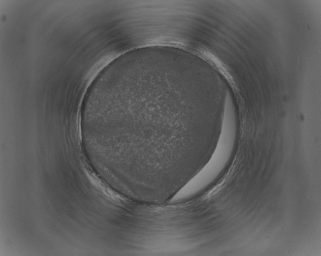 X0000073740892200608171303