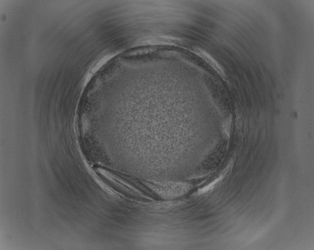 X0000073740893200608171303