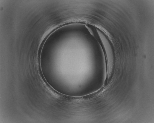 X0000073740894200608171303