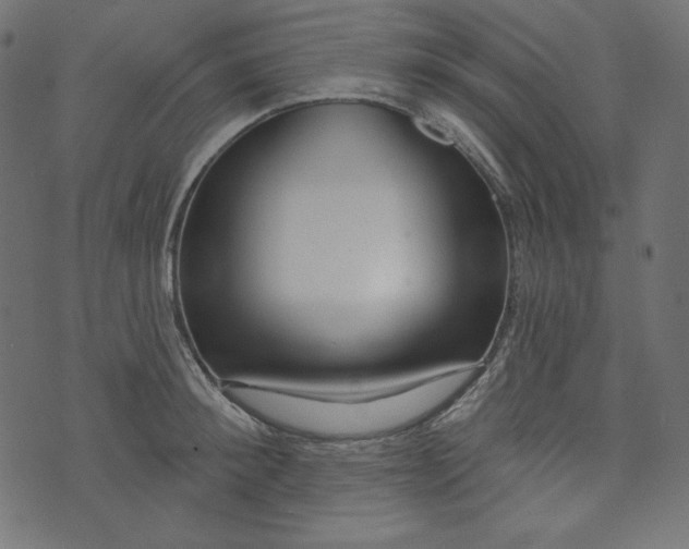 X0000073740900200608171303