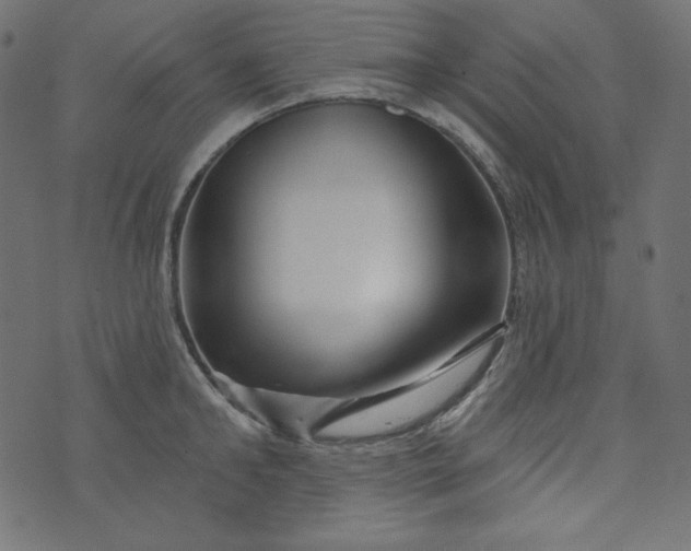 X0000073740902200608171303