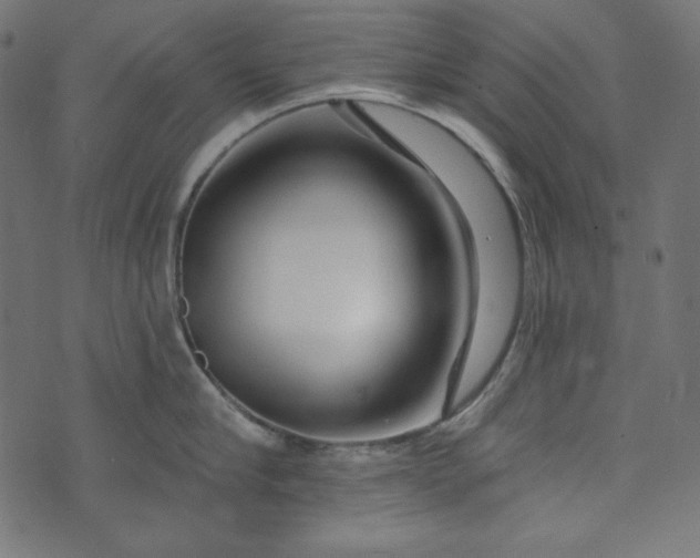 X0000073740910200608171303