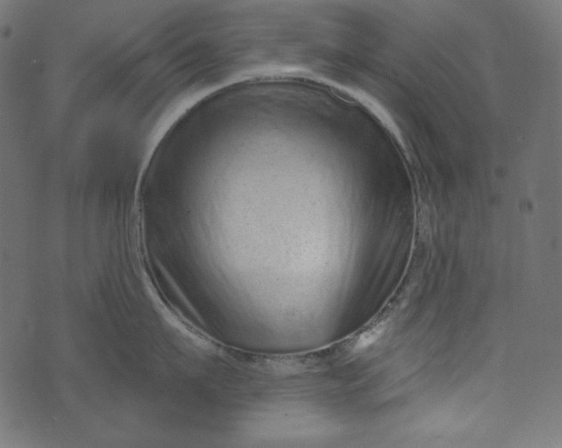 X0000073740911200608171303