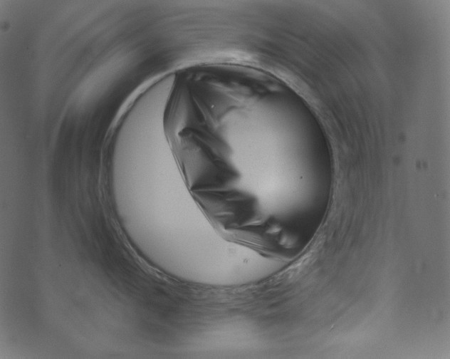X0000073740912200608171303