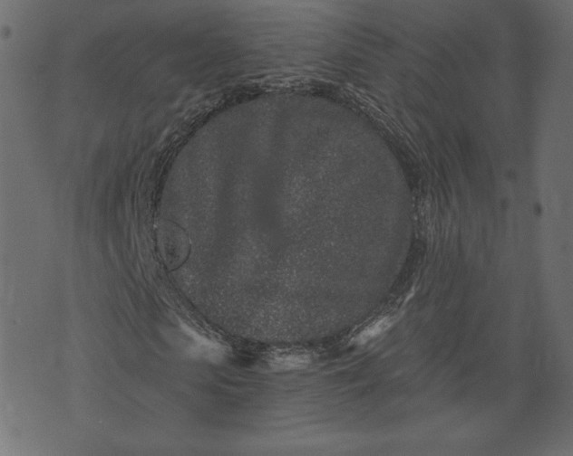 X0000073740913200608171302