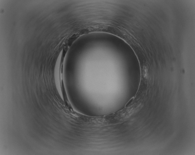 X0000073740915200608171302