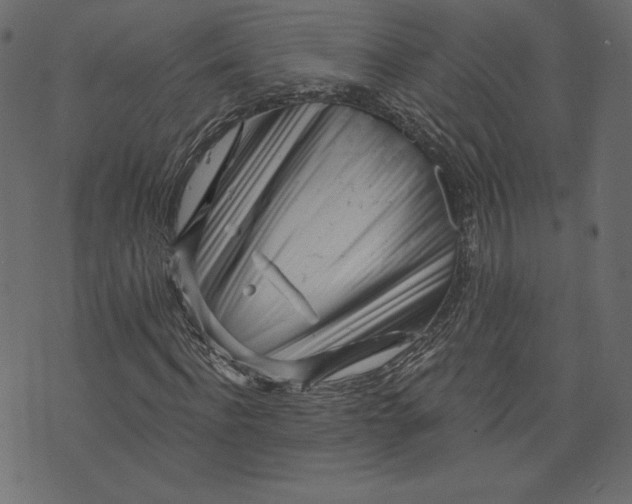 X0000073740916200608171302