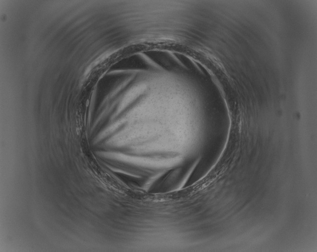 X0000073740920200608171302