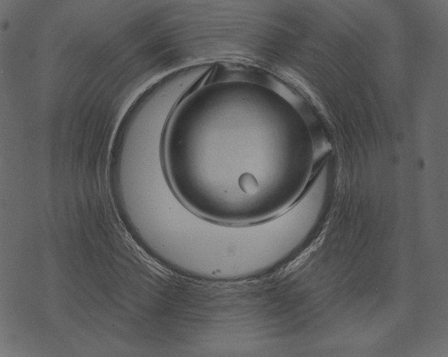 X0000073740924200608171302