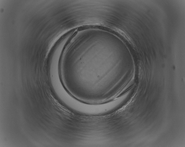 X0000073740926200608171302