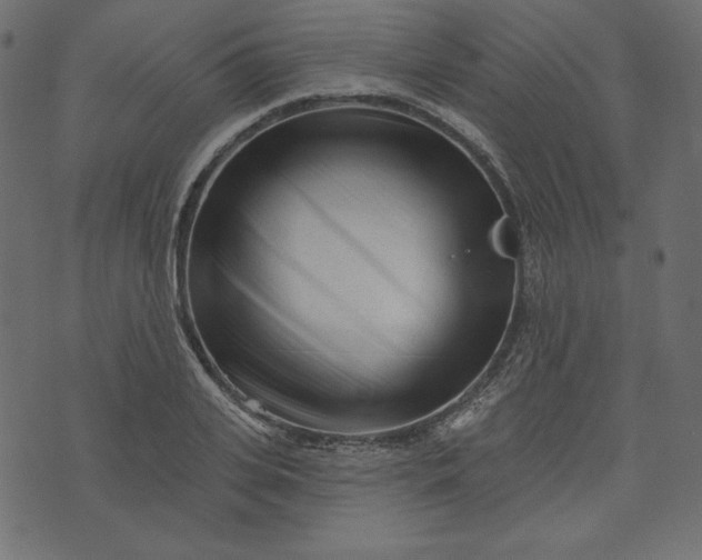 X0000073740935200608171302
