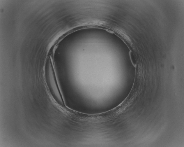 X0000073740936200608171302