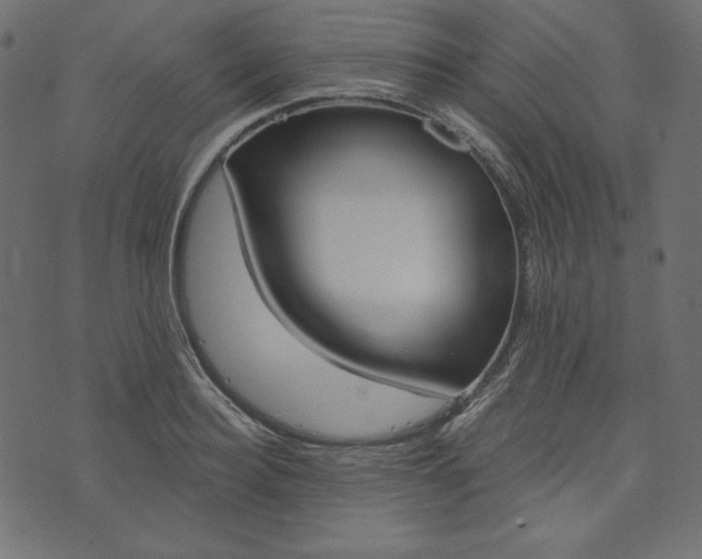 X0000073740940200608171302