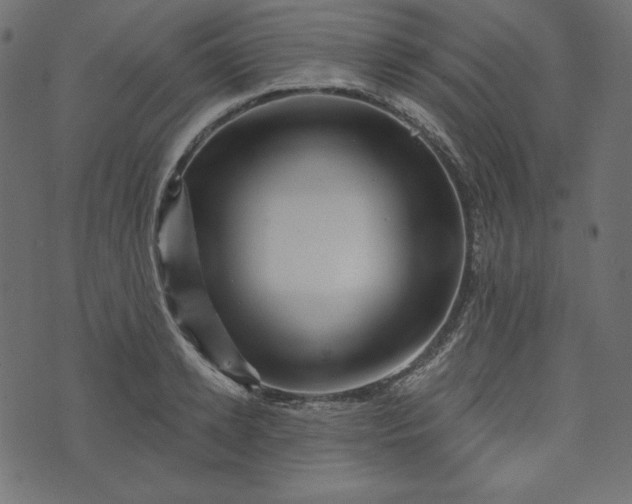 X0000073740942200608171302