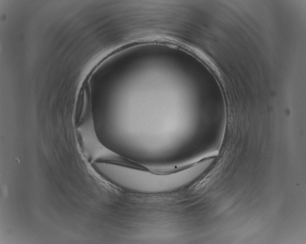 X0000073740951200608171303