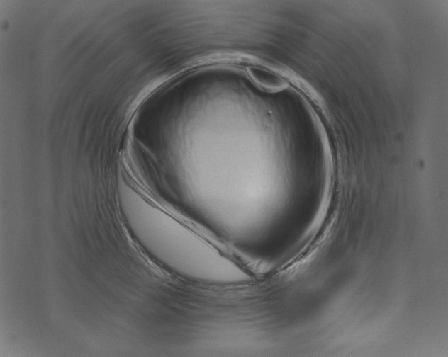 X0000073740953200608171303