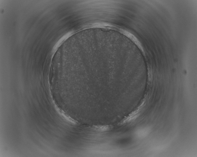 X0000073740954200608171303