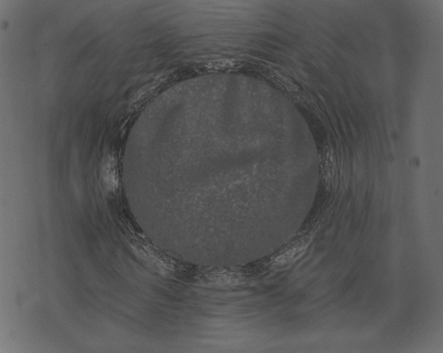 X0000073740962200608171302