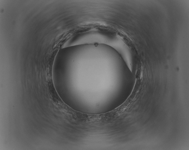 X0000073740965200608171302