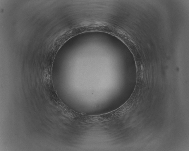 X0000073740966200608171302