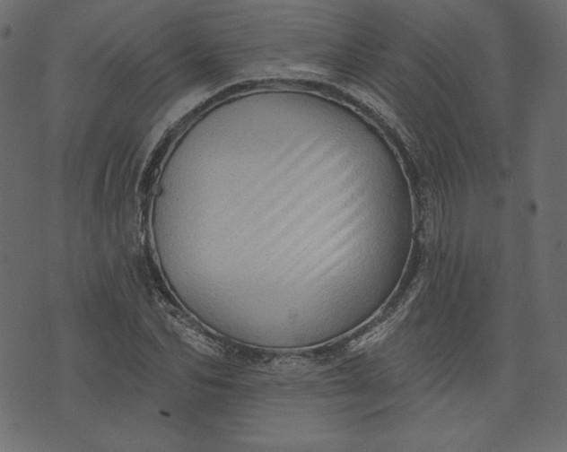 X0000073740974200608171302