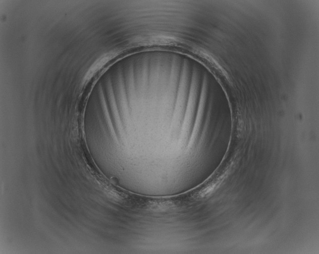 X0000073740978200608171302