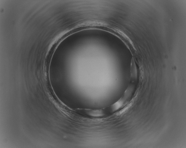 X0000073740981200608171302