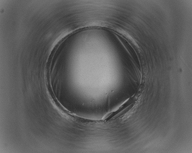 X0000073740991200608171301