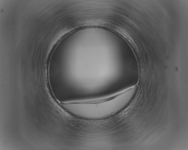 X0000073740992200608171301