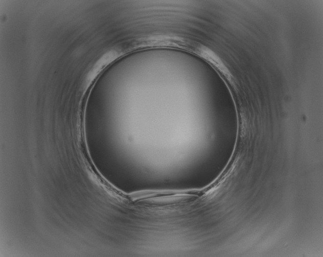 X0000073740994200608171301