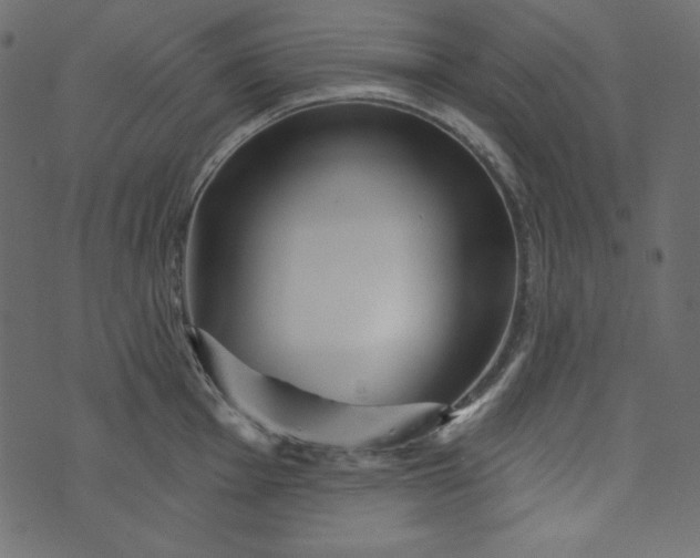 X0000073741001200608171301