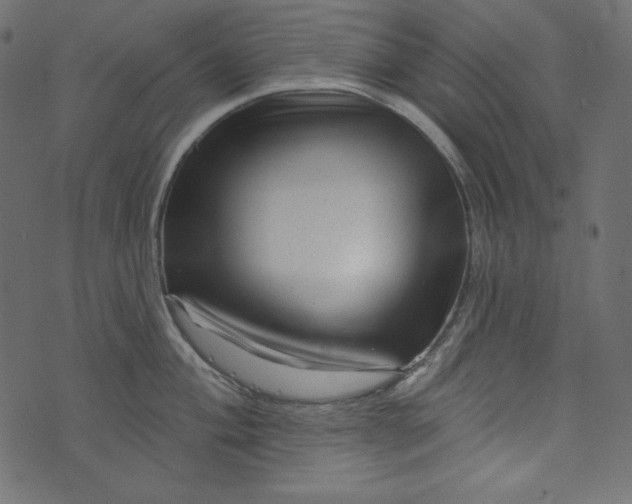 X0000073741004200608171301