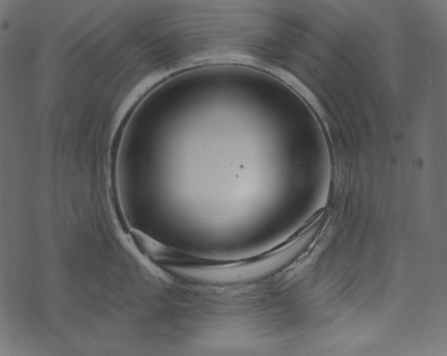 X0000073741005200608171301