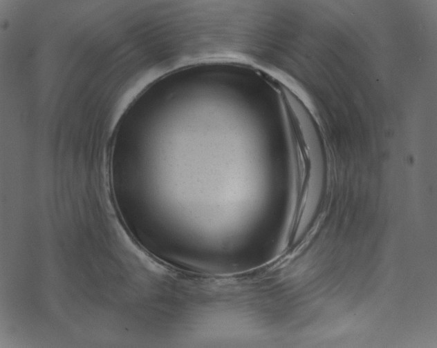 X0000073741006200608171301