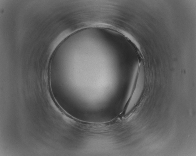 X0000073741007200608171301