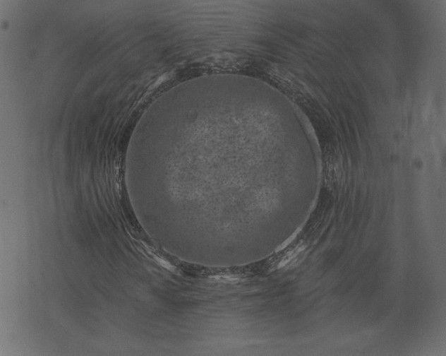 X0000073741010200608171300