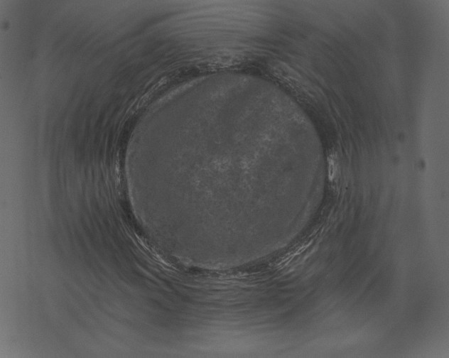 X0000073741011200608171300