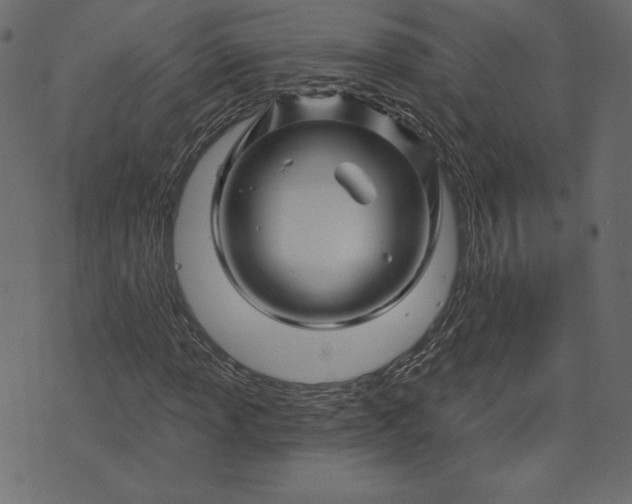 X0000073741013200608171300