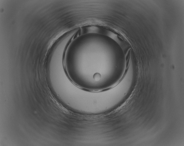 X0000073741018200608171300